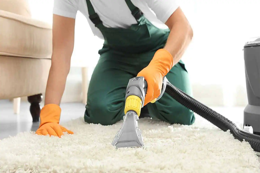 Hire a Professional to Clean Your Carpet Now