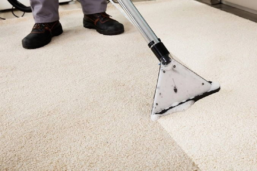  Pros and Cons of Different Carpet Cleaning Methods