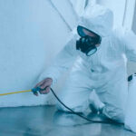 Reasons why hiring a pest control company is a great idea