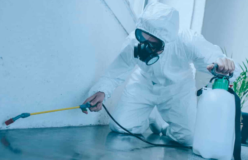 Reasons why hiring a pest control company is a great idea