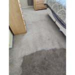 Sustainable Solutions Eco Friendly Carpet Cleaning Methods