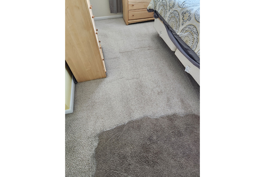 Sustainable Solutions: Eco-Friendly Carpet Cleaning Methods