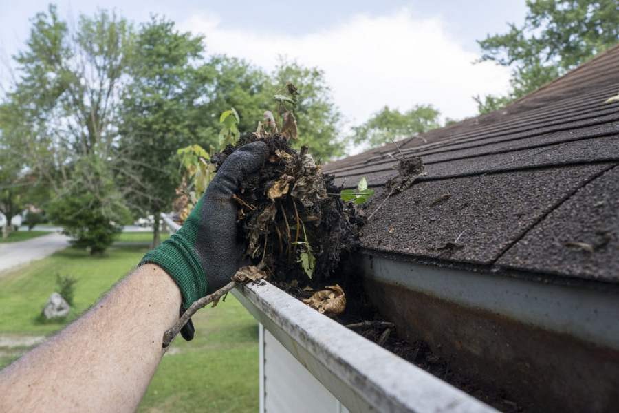Why Regular Gutter Cleaning is a Must for Franklin, TN Homeowners