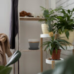 8 Quick Tips for Transforming Your Home Interior Design in Singapore