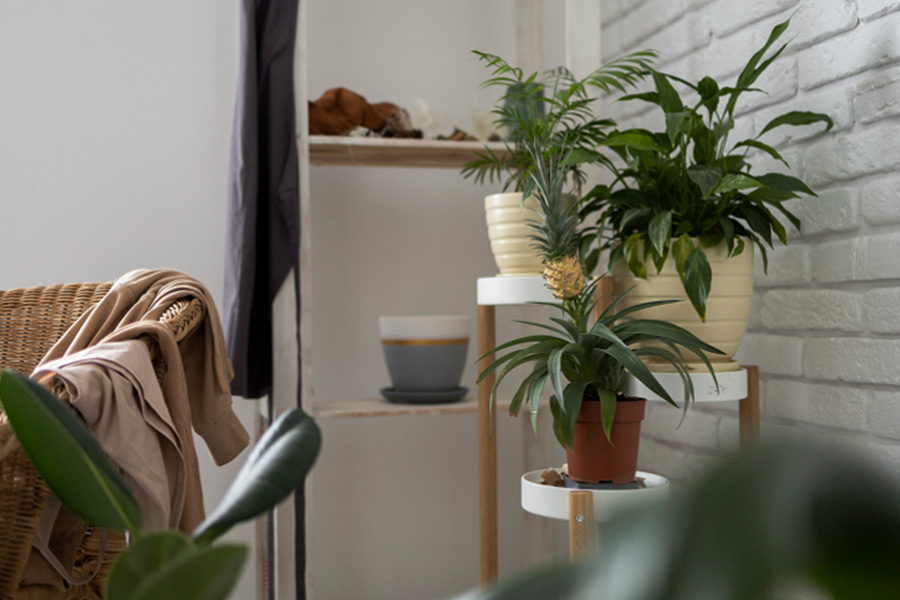 8 Quick Tips for Transforming Your Home Interior Design in Singapore
