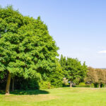 Gardening and Landscape Secrets Why Home Gardens Deserve More Than a Weekend Trim