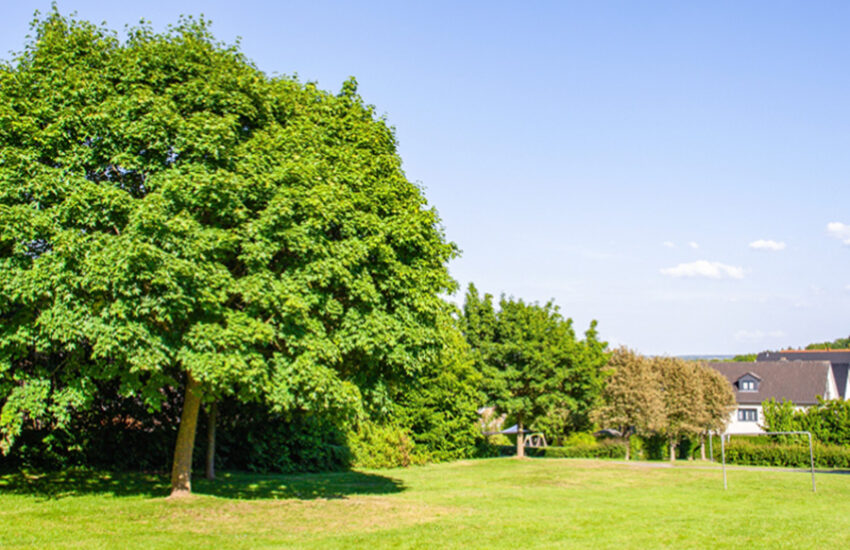 Gardening and Landscape Secrets Why Home Gardens Deserve More Than a Weekend Trim