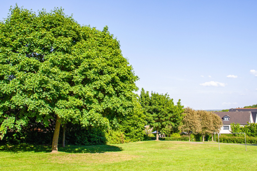 Gardening & Landscape Secrets: Why Home Gardens Deserve More Than a Weekend Trim