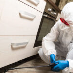 Top Signs You Need a Pest Control Service in Singapore Immediately