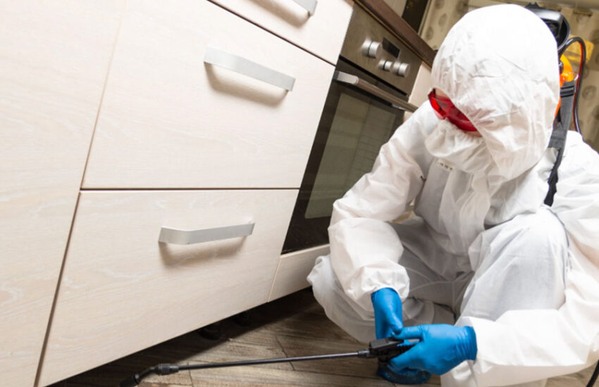 Top Signs You Need a Pest Control Service in Singapore Immediately