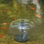A Guide To Koi Pond Filtration