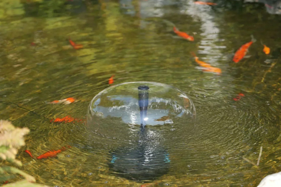 A Guide To Koi Pond Filtration